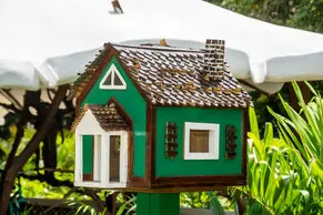 Fotos de Lorena Duarte Diseño & Fotografía