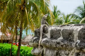 Fotos de Lorena Duarte Diseño & Fotografía