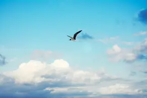 Fotos de Lorena Duarte Diseño & Fotografía