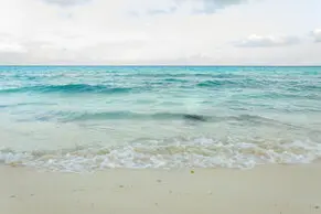 Fotos de Lorena Duarte Diseño & Fotografía