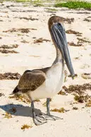 Fotos de Lorena Duarte Diseño & Fotografía