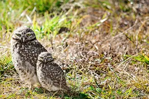 Fotos de Lorena Duarte Diseño & Fotografía